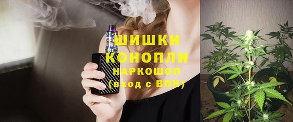 мдпв Богородицк