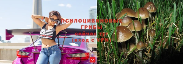 COCAINE Богданович