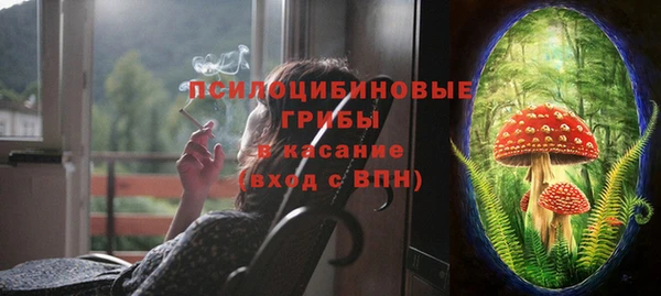 первитин Богородск