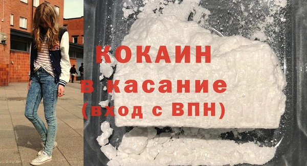 мдпв Богородицк