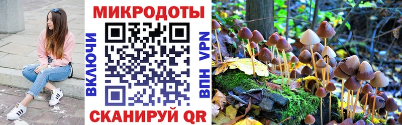 Псилоцибиновые грибы MAGIC MUSHROOMS  KRAKEN зеркало  Пермь 